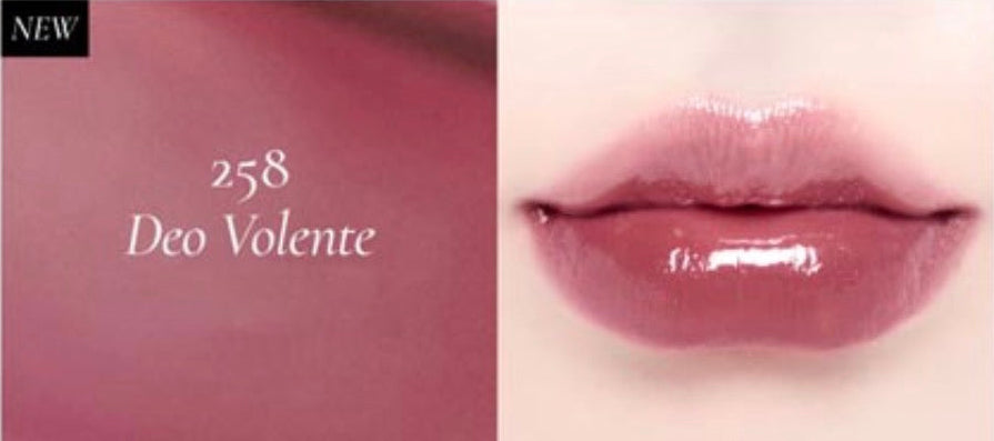 Dinto Blur-Glowy MINI Lip Tint 1g (11 colors)