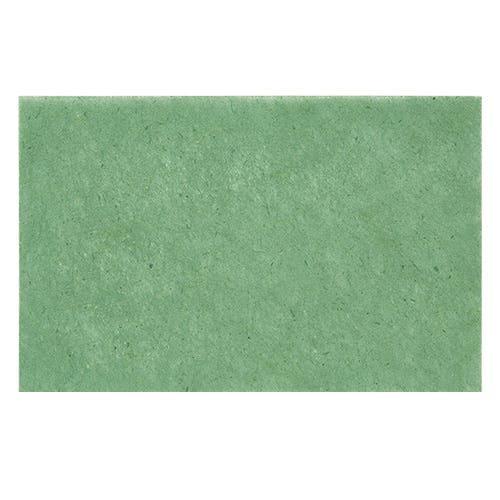 BRINGGREEN Artemisia Oil Control Paper 70P
