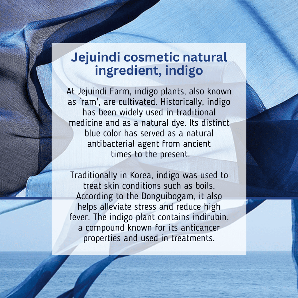 JEJU INDI Indigo Moist Gel Cream 80g
