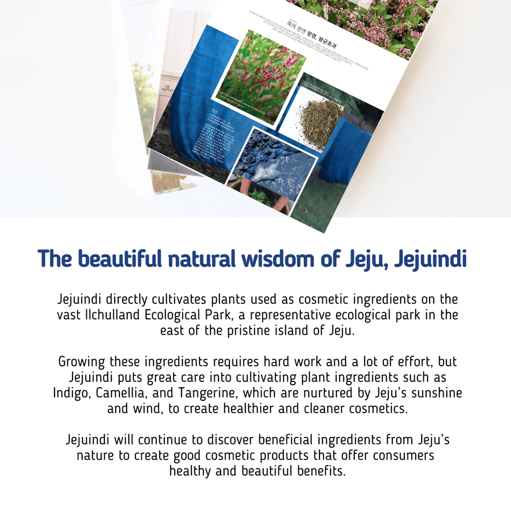 JEJU INDI Indigo Moist Gel Cream 80g