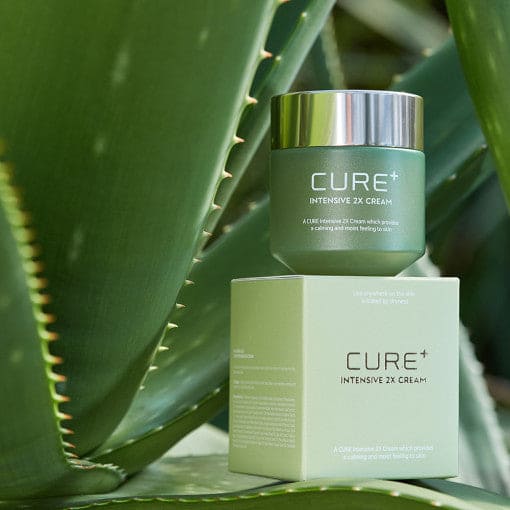 KIM JEONG MOON Aloe Cure Plus Intensive 2X Cream 50g